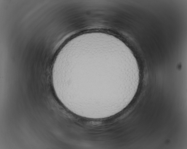 X0000115761313200912241720