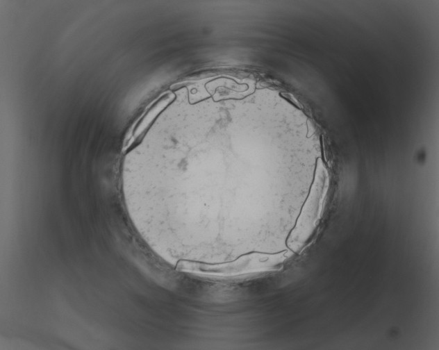 X0000115761314200912241720