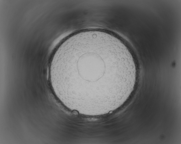 X0000115761317200912241721