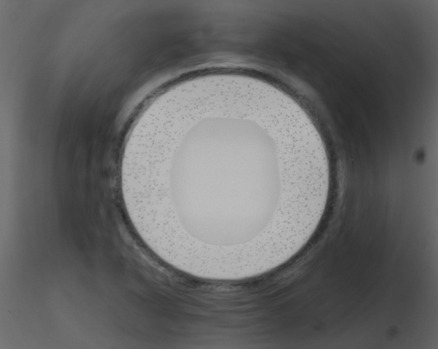X0000115761318200912241721