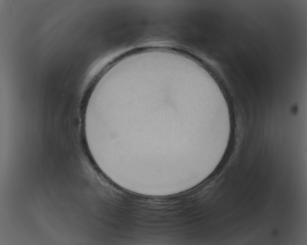 X0000115761319200912241721