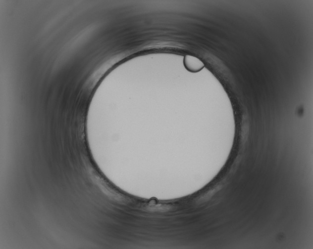 X0000115761321200912241721