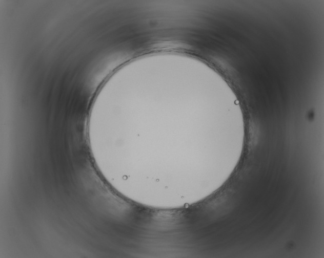 X0000115761322200912241721