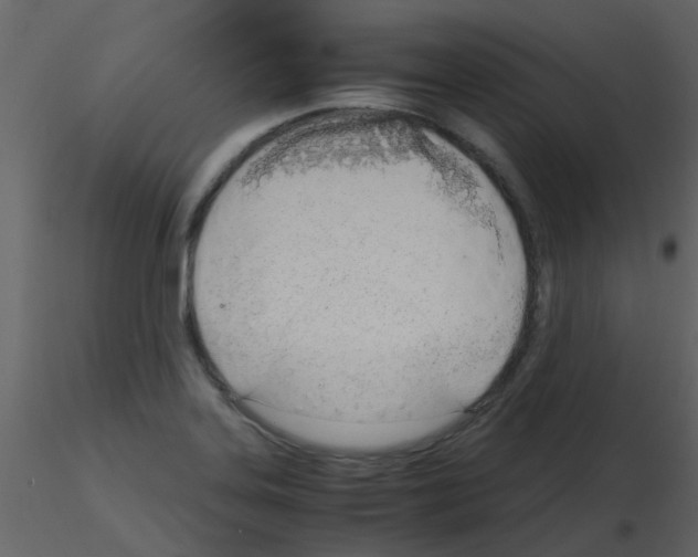 X0000115761323200912241721