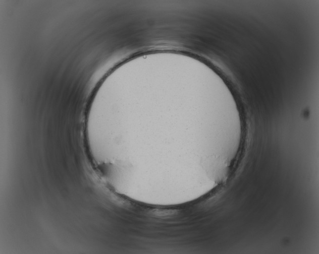 X0000115761325200912241721