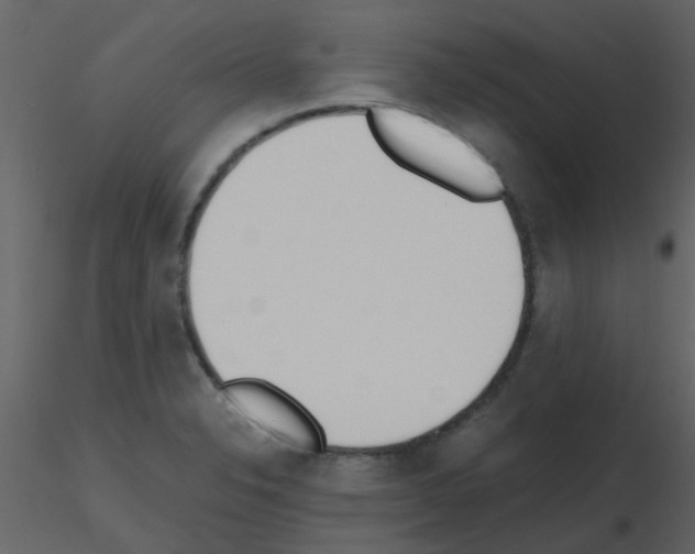X0000115761326200912241721