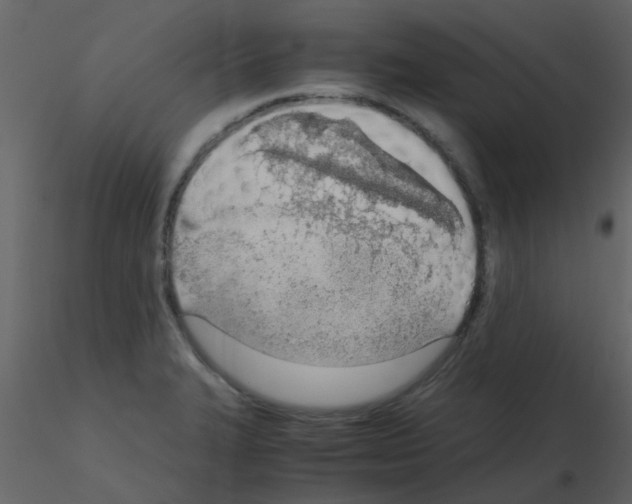 X0000115761327200912241721