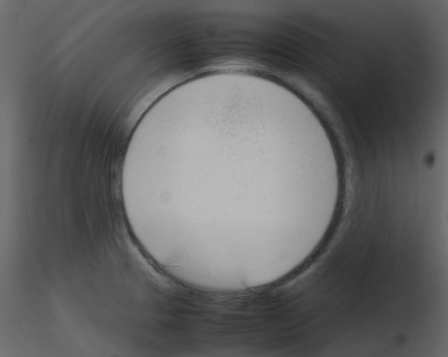X0000115761329200912241721