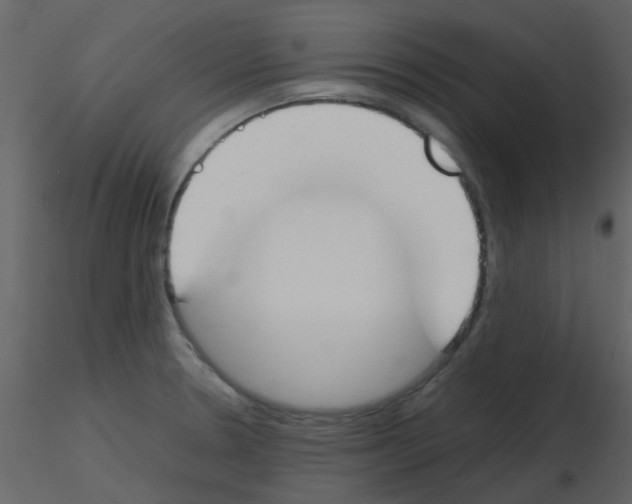 X0000115761330200912241721