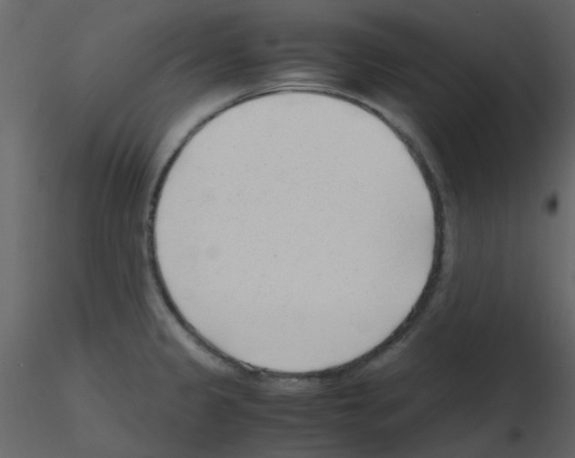 X0000115761333200912241721