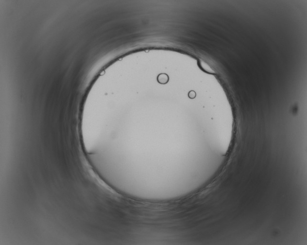 X0000115761334200912241721