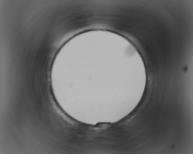 X0000115761335200912241721