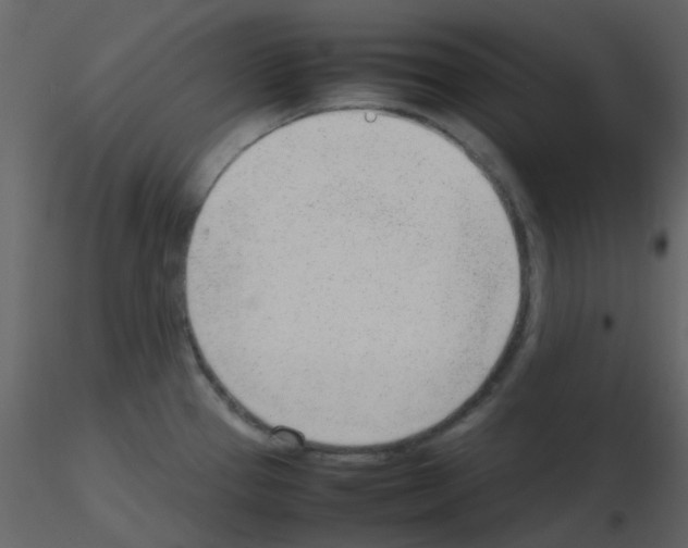 X0000115761337200912241721