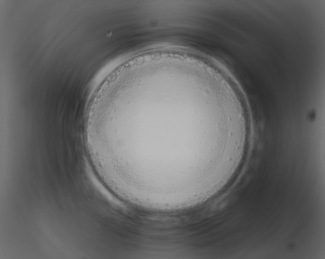 X0000115761338200912241721