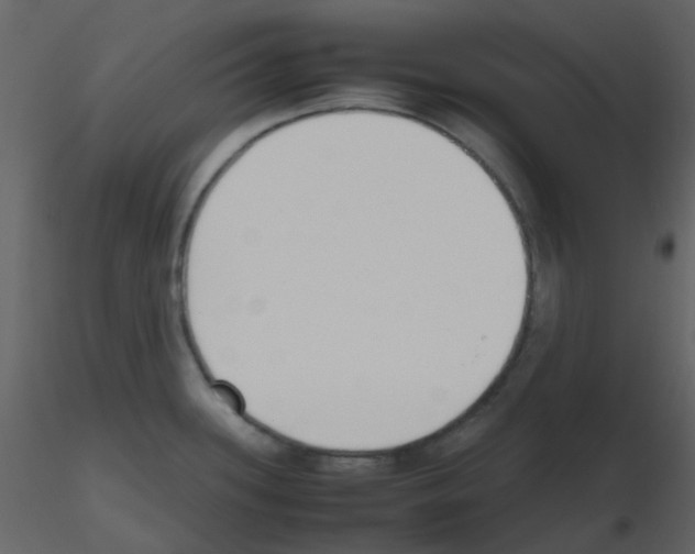 X0000115761339200912241721