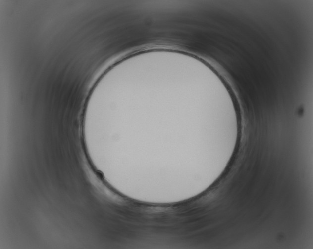 X0000115761341200912241721