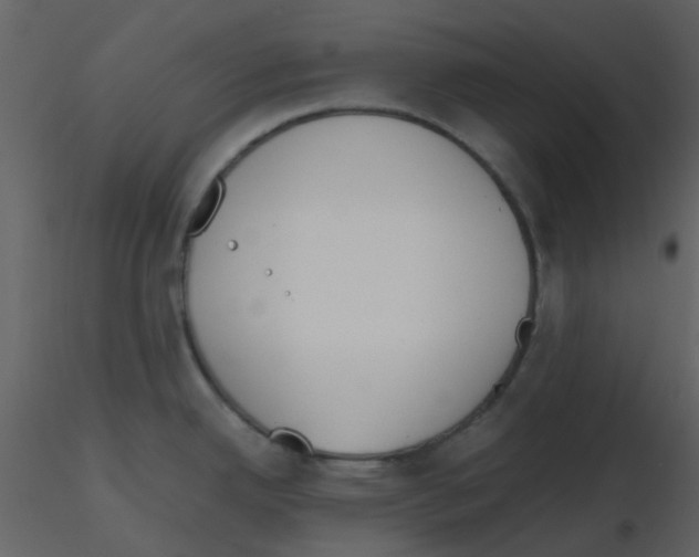 X0000115761342200912241721