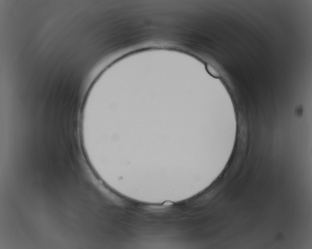 X0000115761343200912241721