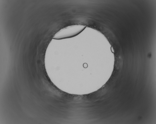 X0000115761345200912241720