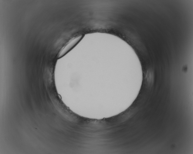 X0000115761348200912241720