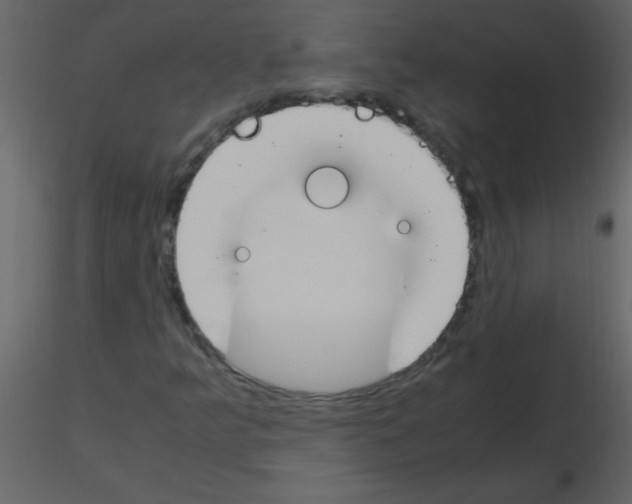 X0000115761349200912241720