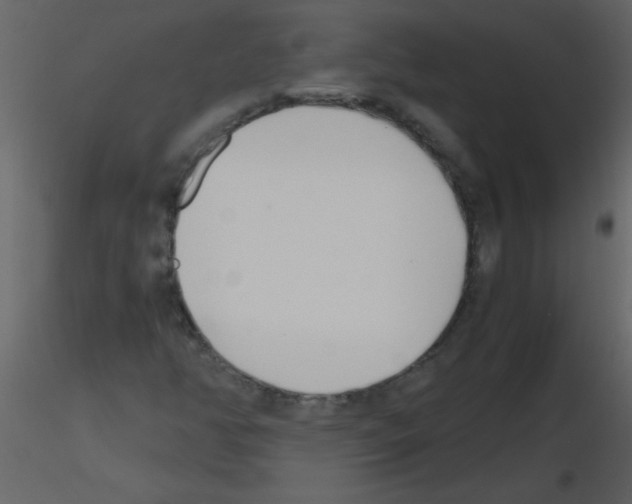 X0000115761350200912241720