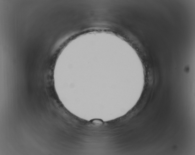 X0000115761352200912241720