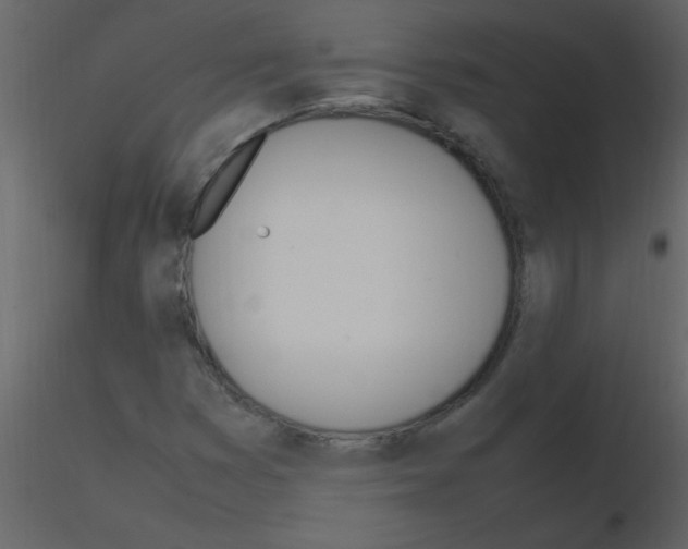 X0000115761353200912241720