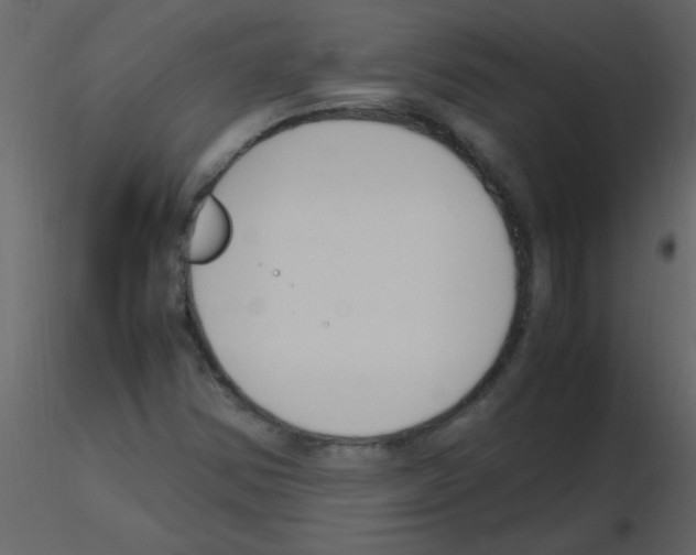 X0000115761354200912241720