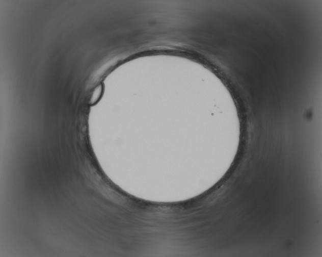 X0000115761355200912241720