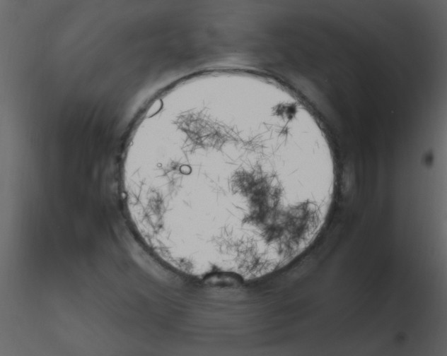 X0000115761356200912241720