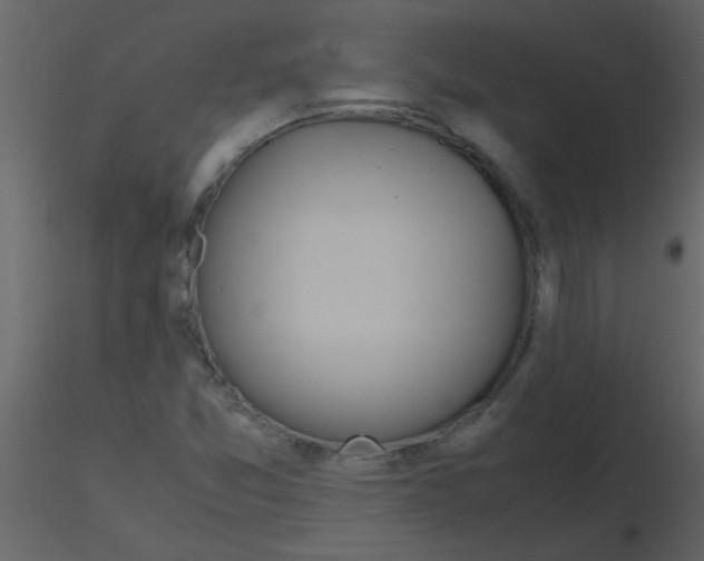 X0000115761357200912241720