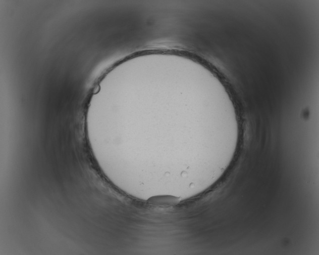 X0000115761358200912241720