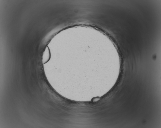 X0000115761359200912241720