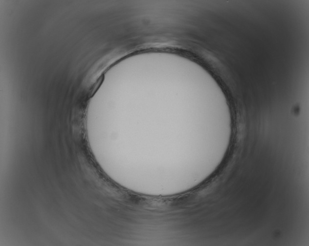 X0000115761361200912241720