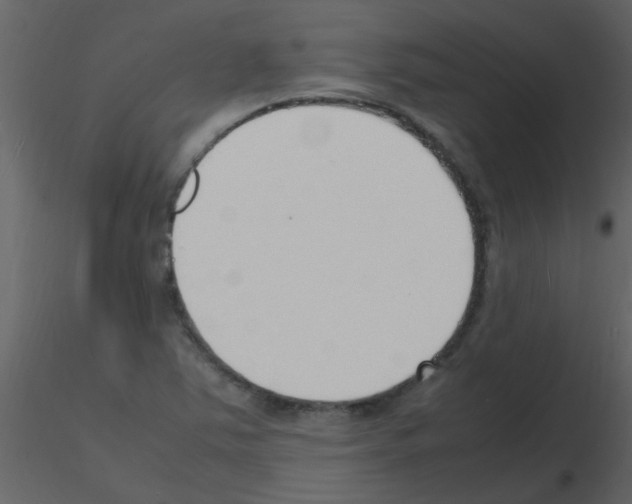 X0000115761363200912241720