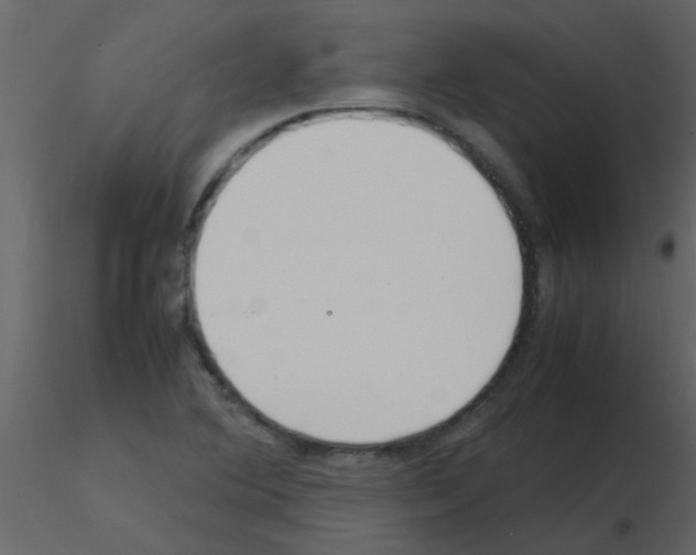 X0000115761364200912241720