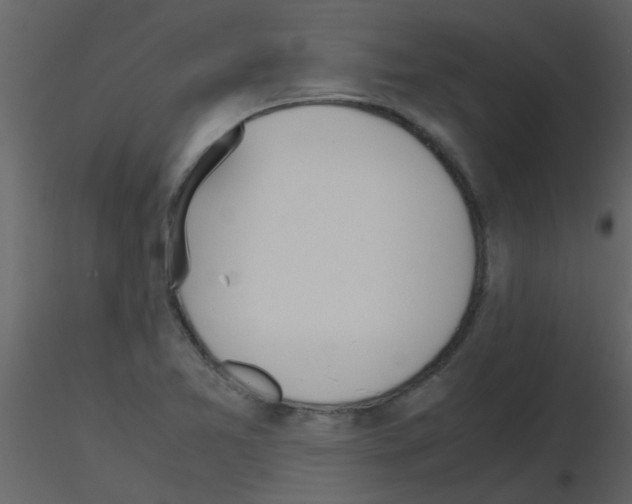 X0000115761365200912241720