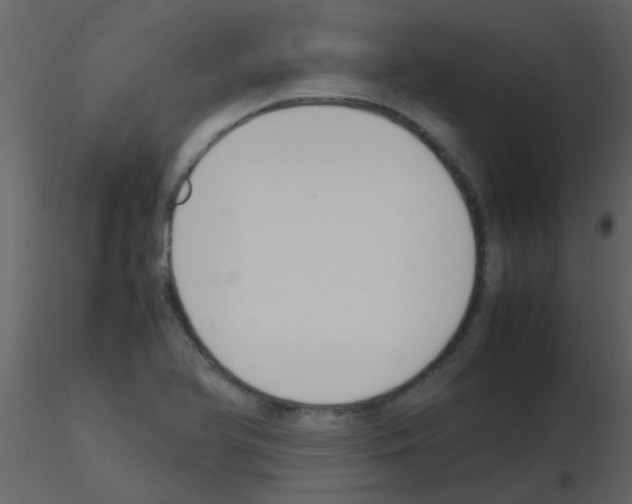 X0000115761366200912241720