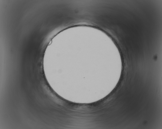 X0000115761367200912241720