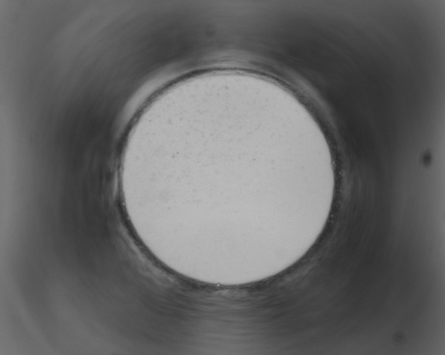 X0000115761368200912241720