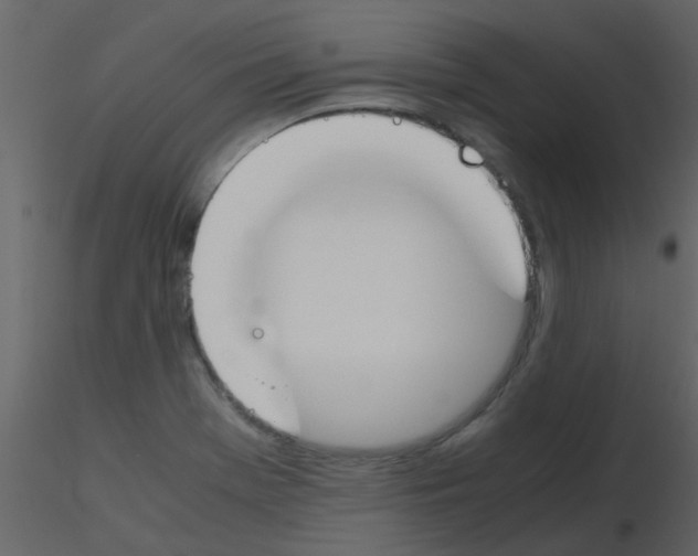 X0000115761369200912241720