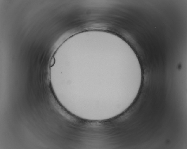 X0000115761370200912241720