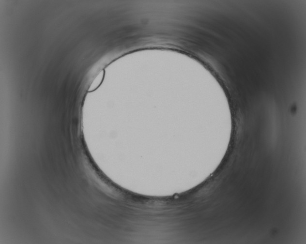 X0000115761371200912241720