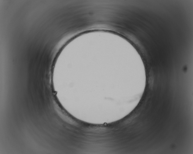 X0000115761372200912241720
