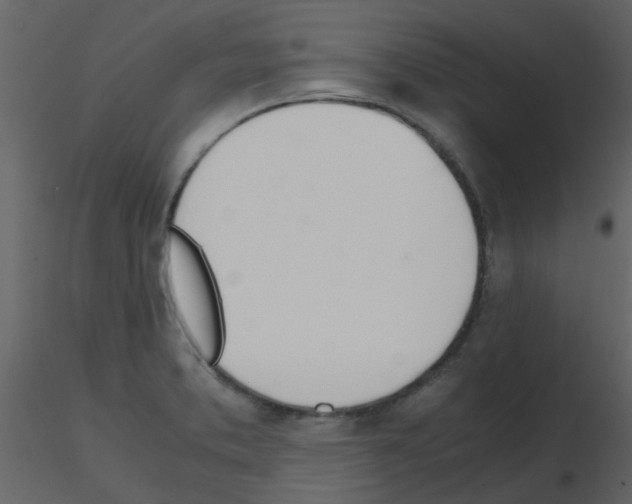 X0000115761373200912241720