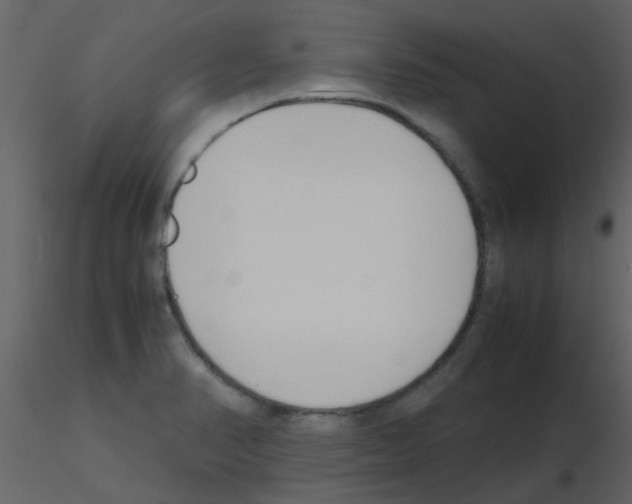X0000115761374200912241720