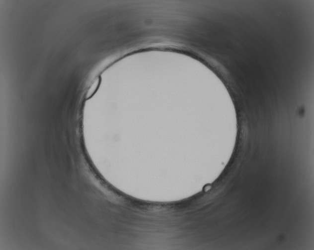 X0000115761375200912241720
