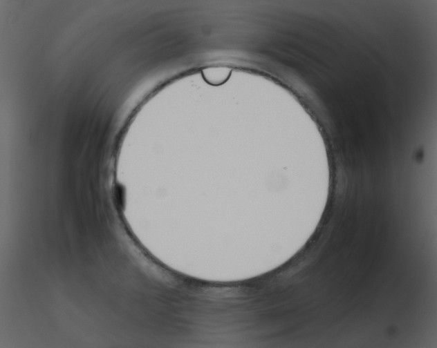 X0000115761376200912241720