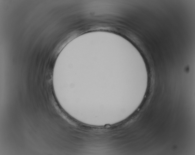 X0000115761377200912241720